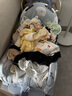 巴拉巴拉嬰兒t恤寶寶短袖上衣男女童夏裝2025萌208225117228 曬單實拍圖