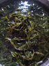 海草鞭炮筍5斤羊棲菜新鮮馬尾藻長(zhǎng)壽菜鹽漬海藻菜半干貨整 鞭炮筍1000克當(dāng)季新貨 曬單實(shí)拍圖