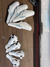 BANDAI萬(wàn)代拼裝模型HG26 1/144 凱列班高達(dá) 異靈高達(dá) 曬單實(shí)拍圖