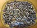 花螺鮮活新鮮海螺特大號海鮮水產(chǎn)鮮活鮮凍冷凍東風(fēng)螺特大花螺貝類(lèi) 精選大號花螺半斤 曬單實(shí)拍圖