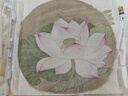 潔麗雅（Grace）【大號三個(gè)裝8.9元】沐浴球浴花洗澡球浴花球搓背搓澡巾可愛(ài) 升級款黛青+桃粉【兩個(gè)裝】 曬單實(shí)拍圖