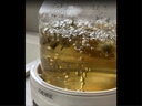 OIDIRE花茶杯 迷你養(yǎng)生杯電燉杯燒水壺養(yǎng)生壺辦公室家用多功能全玻璃電煮茶杯 0.5L ODI-HC06【升級款】 曬單實拍圖