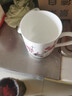 胖東來(lái)品質(zhì)景德鎮(zhèn)瓷器茶杯陶瓷帶蓋青花辦公室會(huì)議杯禮品刻字水杯 紅梅 500ml 曬單實(shí)拍圖