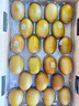 佳沛（zespri）新西蘭  陽光金奇異果巨大果22粒原箱 單果重約144-175g 獼猴桃 曬單實拍圖
