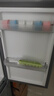 上菱183升雙開門冰箱小型出租房2-3人用 出租屋家用兩門二門小戶型雙門電冰箱以舊換新BCD-183D 曬單實(shí)拍圖
