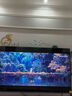 統帥海爾Ieader L85F8 85英寸720分區MiniLED智慧屏京東自營(yíng)6+128G高刷游戲AI電視國家補貼20%一級能效 曬單實(shí)拍圖