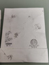 OAK FAMILY新生嬰兒兔耳胎帽春秋季初生寶寶純棉囟門帽兒童帽子 米杏 38cm 曬單實(shí)拍圖