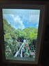 ARZOPA阿卓帕 10.1英寸數(shù)碼電子相框 智能云相框 高清電子相冊(cè) 照片視頻觸摸播放  節(jié)日禮物 D10香檳金 曬單實(shí)拍圖