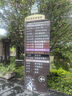 青島啤酒（TsingTao）精釀小棕金 拉環(huán)瓶蓋設(shè)計(jì) 258ml*12瓶 整箱裝 曬單實(shí)拍圖