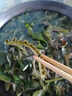 裙帶菜 鮮海帶非干貨海帶嫩苗兒童海菜海白菜海藻菜涼拌 裙帶菜嫩葉3斤 曬單實拍圖