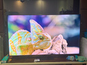 三星（SAMSUNG）QNX9D系列 Neo QLED量子點(diǎn) Mini LED電視超薄4K 120Hz高刷HDMI2.1潘通色彩認(rèn)證AI畫質(zhì)家電國家補(bǔ)貼 65英寸 QA65QNX9DAJXXZ 曬單實(shí)拍圖