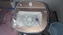 蒲公英脫水機(jī)家用不銹鋼甩干大容量小型半自動宿舍省節(jié)電 玻璃蓋板金色脫水機(jī)/20鋼桶 曬單實(shí)拍圖