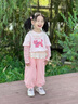 靚貝城堡女小童運動套裝春秋款女寶寶花邊領(lǐng)衛(wèi)衣秋裝小女孩洋氣休閑兩件套 粉色 110 曬單實拍圖