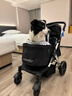DO DO PET寵物推車豪華狗狗外出手推車中大型犬遛狗車輕便可折疊出行寵物車 黑色-建議狗狗50斤內(nèi)，貓咪3-6只 曬單實拍圖