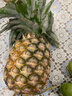 海南金鉆鳳梨新鮮水果生鮮手撕鳳梨臺農(nóng)17號青皮黑金鳳梨 非菠蘿 【小果】1粒：嘗鮮裝 單果400g+ 曬單實拍圖