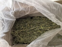 比克熊 苜蓿草1kg兔糧兔子草料烘干紫花幼兔牧草豚鼠磨牙飼料糧草毛重 曬單實拍圖