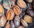 特大號鮮活鮑魚(yú)新鮮冷凍鮑魚(yú)批發(fā)鮑魚(yú)冷凍鮑魚(yú)新鮮大號 8頭鮑*4袋【32只裝】 曬單實(shí)拍圖