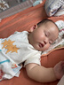 美贊臣藍(lán)臻 3段奶粉 幼兒配方奶粉（12-36月）820g 實證乳鐵蛋白 新國標(biāo) 曬單實拍圖