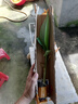 粉蕉苗香蕉苗樹(shù)苗南方矮化蕉抗寒南方紅香安南蕉帶土帶葉當年結果 香蕉苗2棵 20-30高 曬單實(shí)拍圖