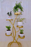 雅韻閣花鏡鉆石翡翠吊蘭室內(nèi)植物名貴家中電視柜旁邊綠植好養(yǎng)活四季常青 鉆石翡翠【豎紋圓瓷花器】 帶盆栽好 曬單實(shí)拍圖
