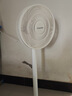 長虹（CHANGHONG）電風(fēng)扇/落地扇家用/交流定頻風(fēng)扇/臺地兩用扇/桌面風(fēng)扇/臺扇搖頭電扇空氣循環(huán)風(fēng)扇 CFS-LD2507 曬單實拍圖
