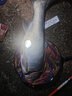 沃鼎王者神劍三代釣魚竿輕量大物竿鰱鳙巨物竿超硬超輕魚桿手竿臺釣竿 8.1m 3代輕量大物【性能野獸】 曬單實拍圖