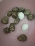 新鮮農(nóng)家谷物鮮雞蛋  現(xiàn)撿現(xiàn)發(fā) 破損包賠 新鮮營養(yǎng) 單枚50g-60g 30枚裝 曬單實(shí)拍圖