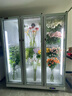 頂邦鮮花保鮮柜花店商用大容量風(fēng)冷冷藏柜水果飲料鮮花展示柜【三門(mén)搭配款左平層】 三門(mén)鮮花柜除霧款（左平層+中平層+右70花墻） 曬單實(shí)拍圖