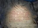 a2奶粉 澳洲紫白金版 DHA 兒童配方牛奶粉 4段(3歲以上) 900g 曬單實(shí)拍圖