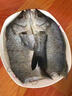 三去開(kāi)背鱸魚(yú)七星鱸魚(yú)新鮮烤魚(yú)半成品冷凍冰鮮特大開(kāi)背鱸魚(yú) 開(kāi)背鱸魚(yú)【650-750g左右/條】 3條 曬單實(shí)拍圖
