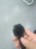 HUXAIVNI智能手表華強(qiáng)北watch華為機(jī)鴻蒙安卓系統(tǒng)蘋果機(jī)適用運(yùn)動(dòng)gt5 ultra 黑網(wǎng)帶 NFC+支付+海量表盤+運(yùn)動(dòng)健康監(jiān)測 雙表帶+定位導(dǎo)航+超長待機(jī)+心率血氧血壓睡眠監(jiān)測 曬單實(shí)拍圖