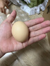荊品名門正宗鮮雞蛋 農家農村散養(yǎng)雞蛋草雞蛋谷物蛋土雞蛋 30枚（單顆40g左右） 曬單實拍圖