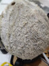 萊財多海南牛奶椰皇裝新鮮當(dāng)季水果椰青椰汁椰白老椰子 4個 曬單實拍圖