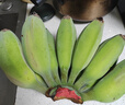 廣東新鮮蘋果蕉自然熟香芭蕉小香蕉粉蕉現(xiàn)摘現(xiàn)發(fā)水果生鮮早餐包郵 【帶箱2斤】蘋果蕉 曬單實(shí)拍圖