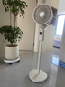 西屋（Westinghouse）空氣循環(huán)扇家用電風扇落地扇輕音節(jié)能臺立兩用電扇渦輪換氣對流風扇WTH-XH020 曬單實拍圖