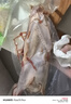 楊博士正宗皖南深山散養(yǎng)溪水老鴨子土鴨麻鴨新鮮河鴨整只鴨肉 源頭直發(fā) 2只河鴨（贈鴨湯包+鴨血+筍片） 曬單實拍圖