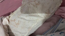 小野七天 嬰兒后背網(wǎng)眼連體衣純棉夏季薄款寶寶長袖空調(diào)服睡衣新生兒衣服 【松鼠鹿-后背網(wǎng)眼 59碼 】 曬單實(shí)拍圖