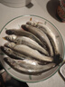 漢鼎一號魚線線組魚鉤浮漂魚漂子線雙鉤主線子線線鉤漂全新手套裝 線組新手套裝5.4米含餌料 曬單實拍圖