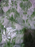 亞貝梵印花雪紡襯衫女七分袖2024夏季新款寬松顯瘦上衣減齡遮肚洋氣小衫 綠色 XL 【建議111-120斤】 曬單實(shí)拍圖