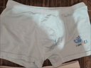 莫代爾4條兒童內褲男童莫代爾a類(lèi)抗菌純棉襠中大童學(xué)生男寶寶四角短褲 【莫代爾 主圖色】 4條 130 cm 【XL 推薦體重40-50斤】 曬單實(shí)拍圖