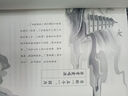 長安好詩三萬里  大師講解夢回大唐王維李白杜甫白居易時代融詩史傳于一體 詩詞故事 文學(xué)書籍 青少年讀詩詞唐代 曬單實拍圖