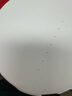 ON金標(biāo)乳清蛋白粉 美國原裝進口 健身塑形 分離為主 高蛋白含量 雙重巧克力味 5磅/桶【火爆】 曬單實拍圖