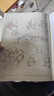 人體結構原理與繪畫(huà)教學(xué) 肖瑋春 人物結構造型繪畫(huà)零基礎入門(mén) 贈人體動(dòng)態(tài)海報+視頻 曬單實(shí)拍圖
