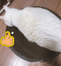 pidan貓抓板 圓形款 瓦楞紙貓窩耐磨貓玩具 曬單實(shí)拍圖