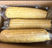 蓮山九鮮新鮮東北甜糯玉米棒黏粘糯苞米新鮮甜玉米真空包裝 250g*5支黃糯玉米 曬單實(shí)拍圖