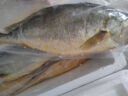 鮮喜利舟山大黃魚(yú)禮盒深海黃花魚(yú)鮮活冷凍生鮮海鮮年貨禮包新鮮水產(chǎn)商用 6條禮盒裝（單條凈重1.4斤） 曬單實(shí)拍圖