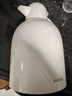 物生物保溫壺家用大容量玻璃內(nèi)膽熱水瓶暖水壺學(xué)生宿舍暖壺保冷生日禮物 曬單實拍圖