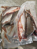 海名威冷凍東海小黃魚1斤 16-20條 生鮮魚類 海鮮水產(chǎn) 燒烤  曬單實(shí)拍圖