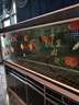 森森（SUNSUN）森森PID加熱棒魚缸加熱器自動恒溫電熱棒水族大功率加溫棒 1000W變頻省電款(實時功率顯示/超溫保護) 曬單實拍圖