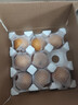 艾麓山東萊陽(yáng)豐水梨新鮮水果大果5斤新鮮水果當(dāng)季現(xiàn)摘黃皮梨酥甜 豐水梨4.5斤（5-8個(gè)） 曬單實(shí)拍圖